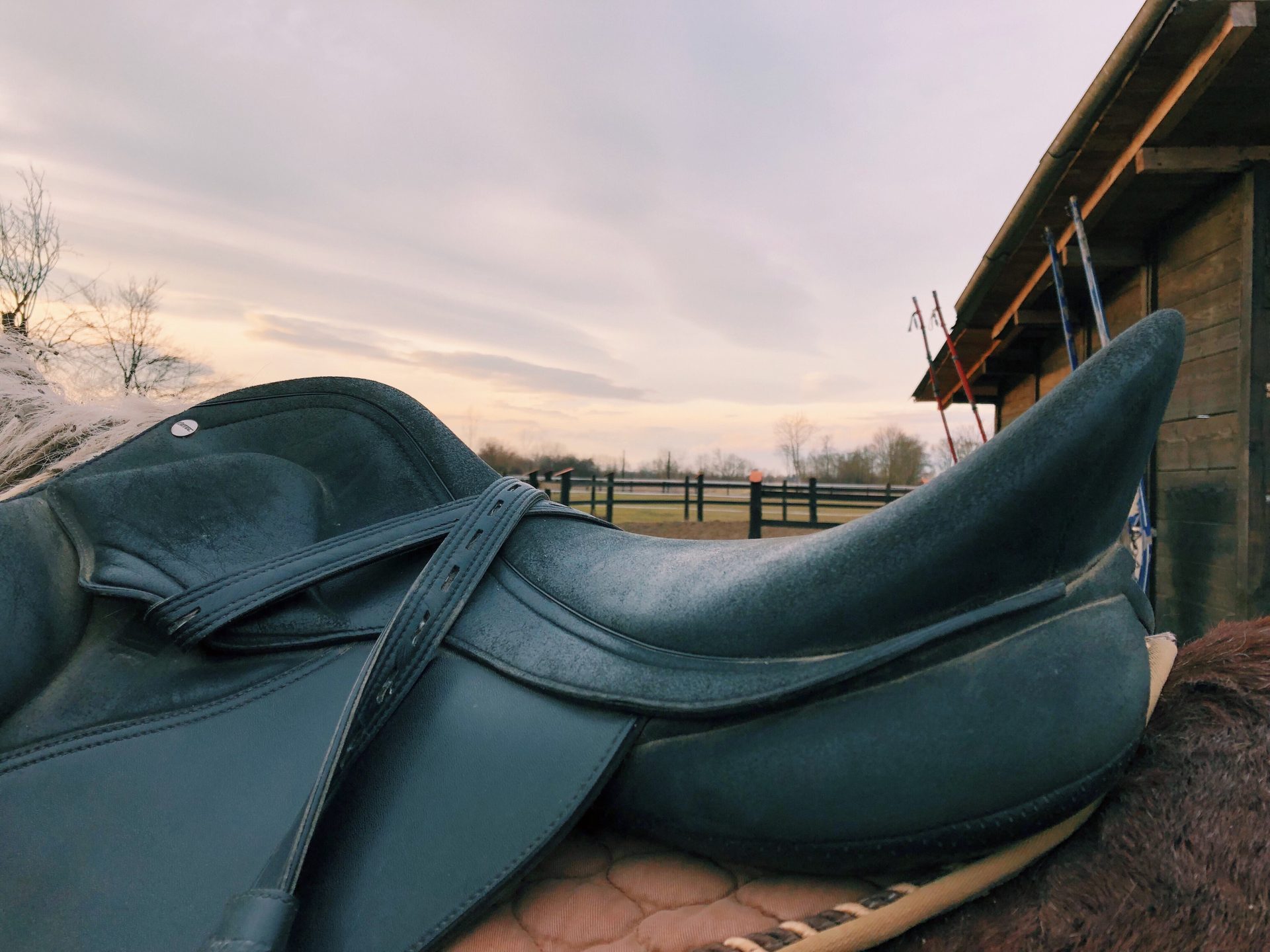 Saddlery