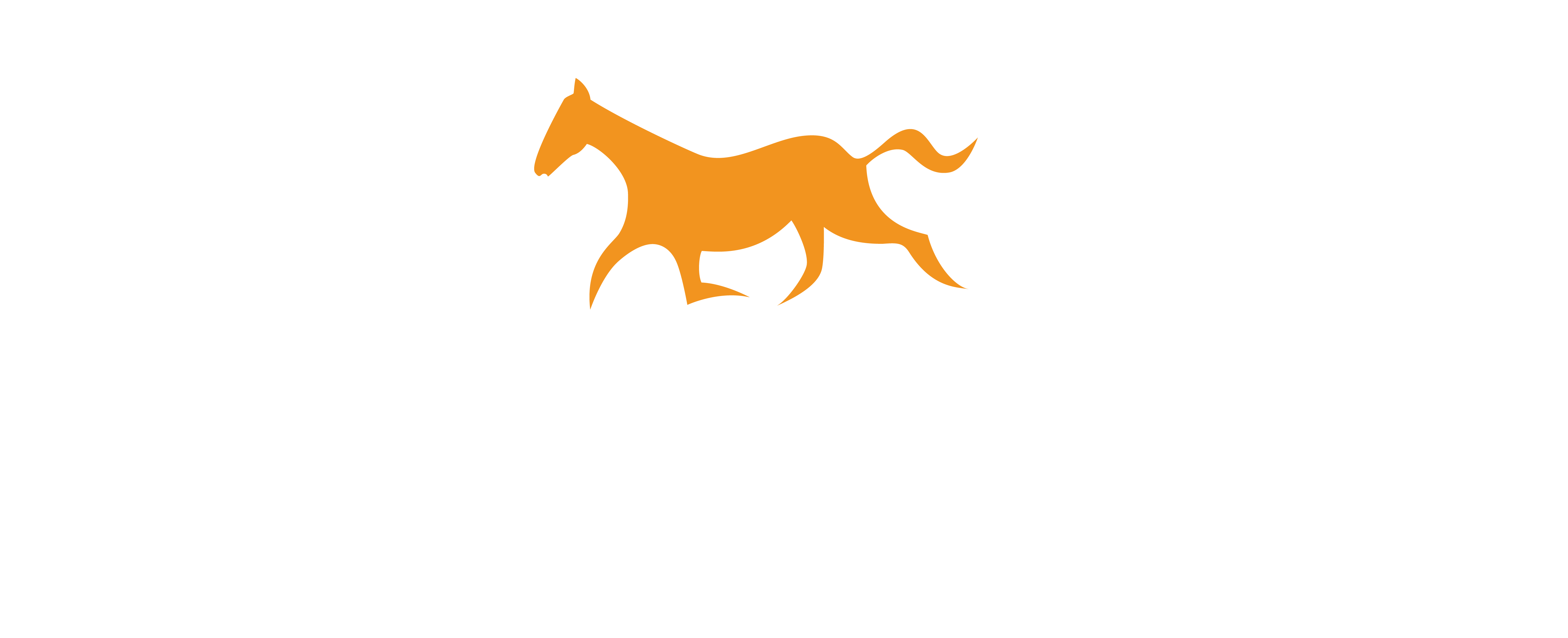 Equine KL